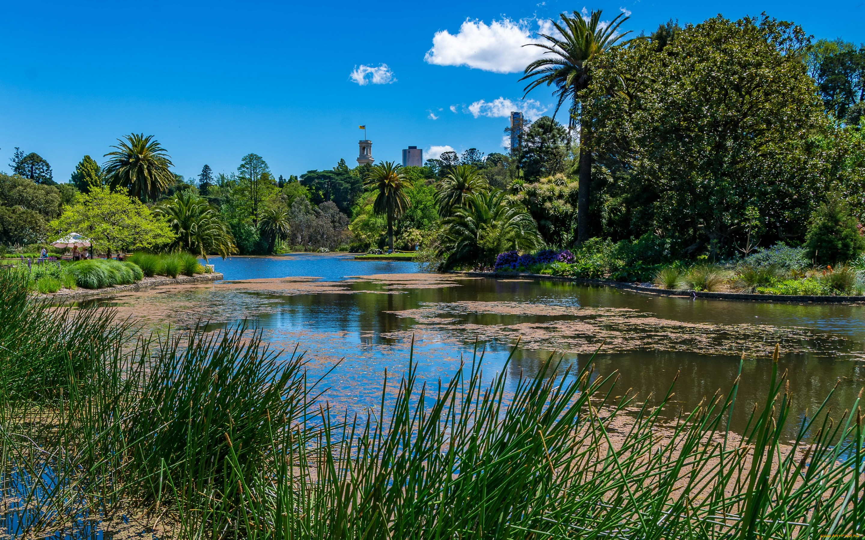 Мельбурн Ботанический сад